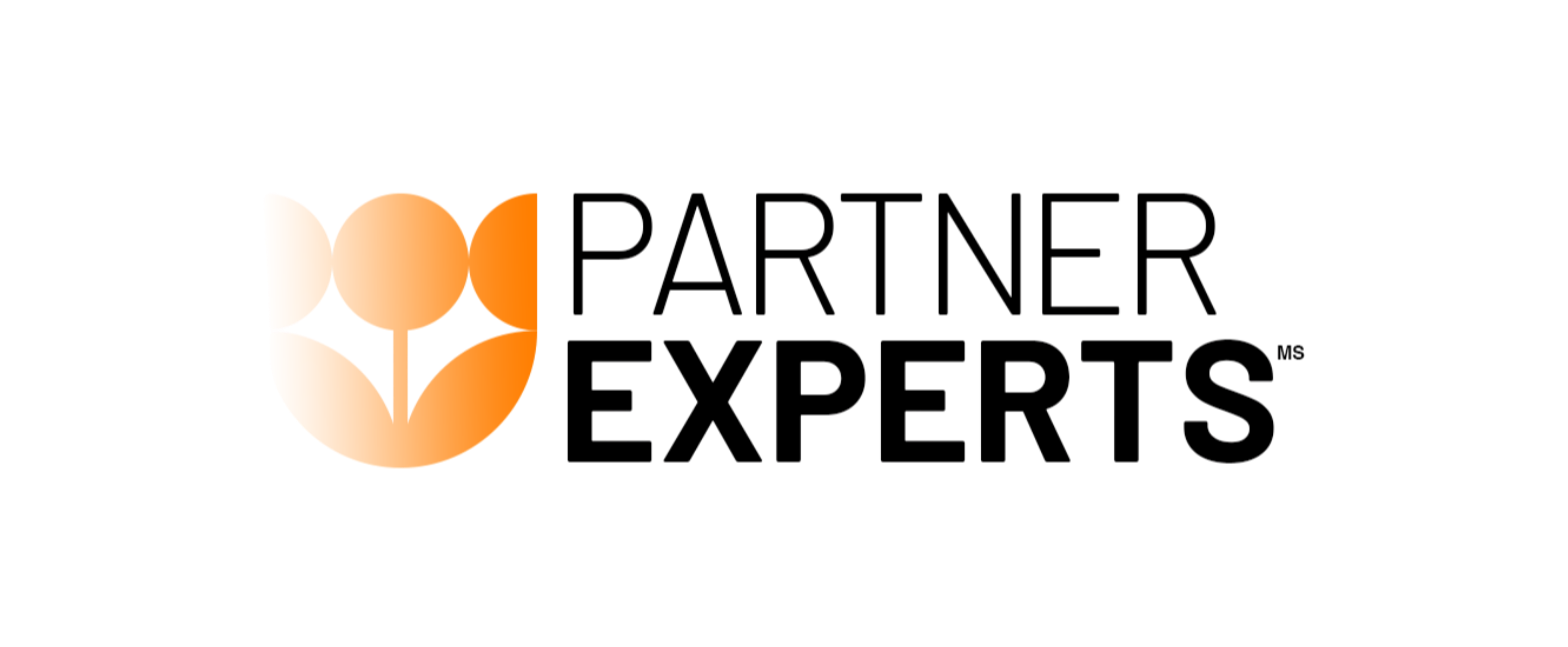 8 Partner-experts-logo